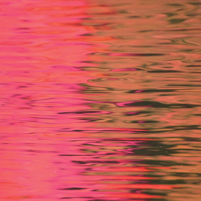 silversteindeadreflection